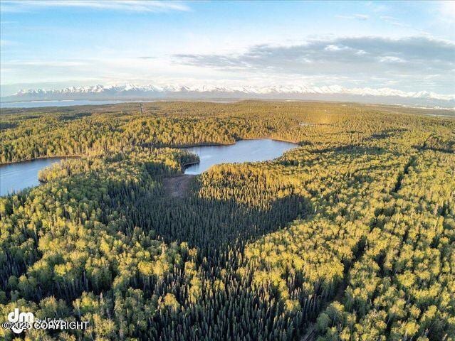 23165 S Twin Island Dr, Wasilla, AK 99654 - photo 10