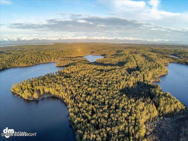 23165 S Twin Island Dr, Wasilla, AK 99654 - photo 11