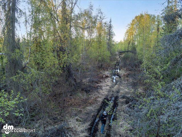 23165 S Twin Island Dr, Wasilla, AK 99654 - photo 12