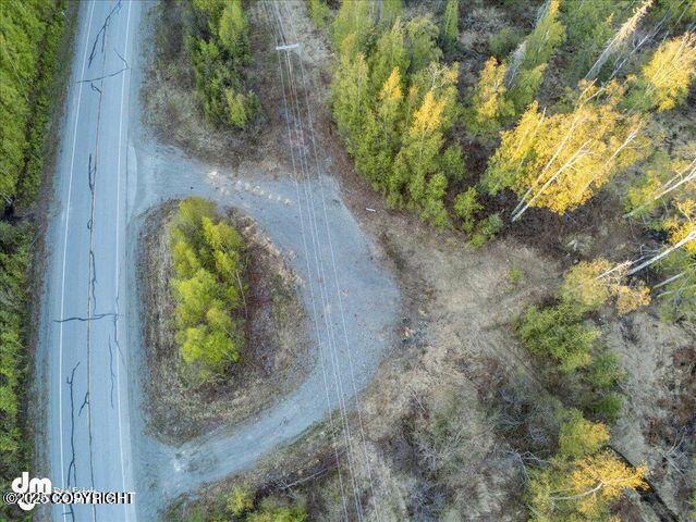23165 S Twin Island Dr, Wasilla, AK 99654 - photo 13