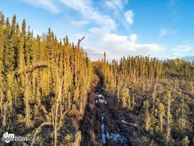 23165 S Twin Island Dr, Wasilla, AK 99654 - photo 14