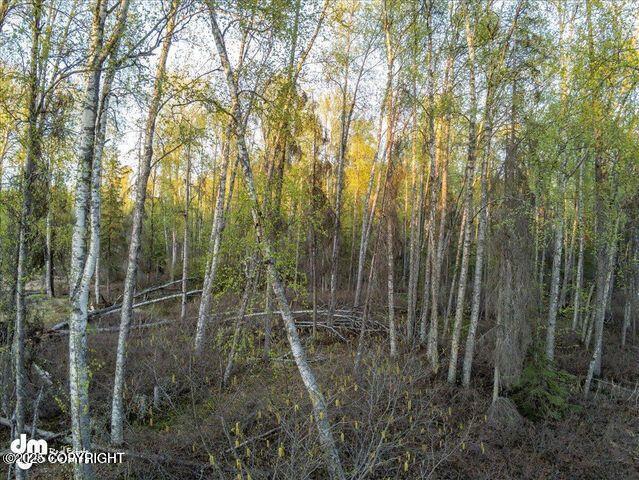 23165 S Twin Island Dr, Wasilla, AK 99654 - photo 15