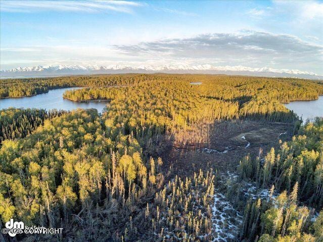 23165 S Twin Island Dr, Wasilla, AK 99654 - photo 16