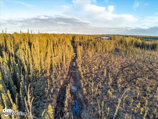 23165 S Twin Island Dr, Wasilla, AK 99654 - photo 17