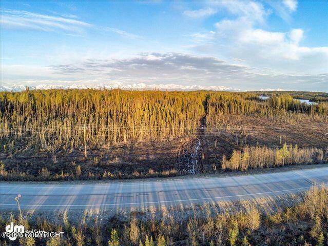 23165 S Twin Island Dr, Wasilla, AK 99654 - photo 18