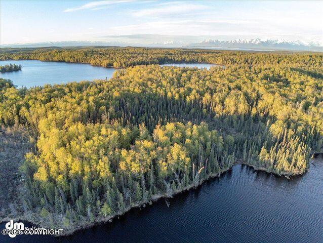23165 S Twin Island Dr, Wasilla, AK 99654 - photo 19