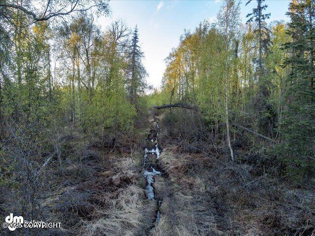 23165 S Twin Island Dr, Wasilla, AK 99654 - photo 20