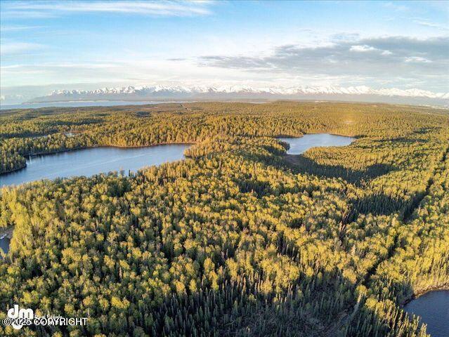 23165 S Twin Island Dr, Wasilla, AK 99654 - photo 21