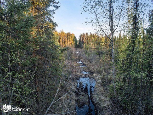23165 S Twin Island Dr, Wasilla, AK 99654 - photo 22
