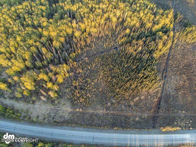 23165 S Twin Island Dr, Wasilla, AK 99654 - photo 23