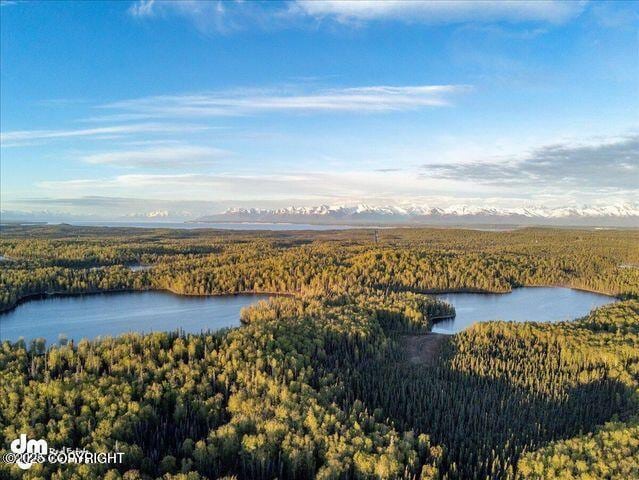 23165 S Twin Island Dr, Wasilla, AK 99654 - photo 24