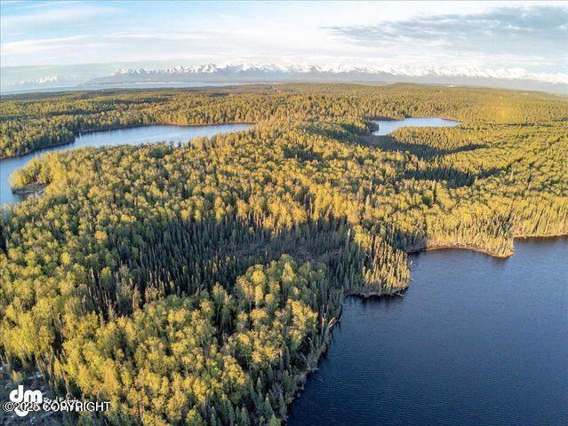 23165 S Twin Island Dr, Wasilla, AK 99654 - photo 25