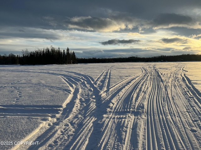 23165 S Twin Island Dr, Wasilla, AK 99654 - photo 26