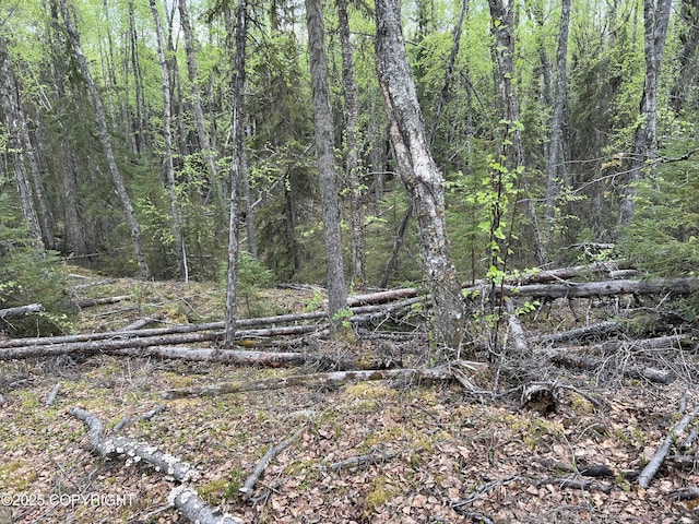 23165 S Twin Island Dr, Wasilla, AK 99654 - photo 27