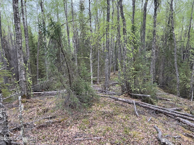 23165 S Twin Island Dr, Wasilla, AK 99654 - photo 28