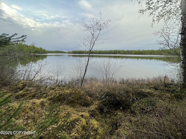 23165 S Twin Island Dr, Wasilla, AK 99654 - photo 29