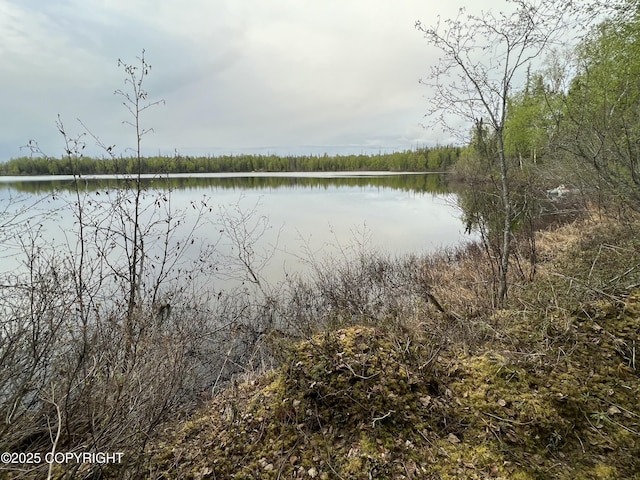 23165 S Twin Island Dr, Wasilla, AK 99654 - photo 30