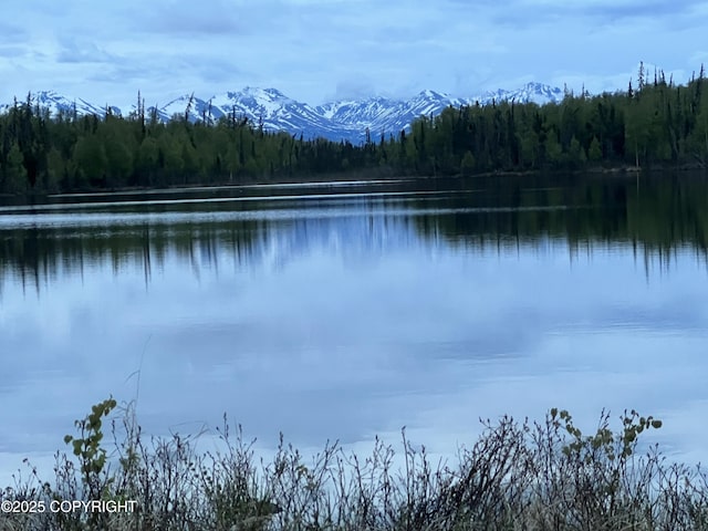 23165 S Twin Island Dr, Wasilla, AK 99654 - photo 31