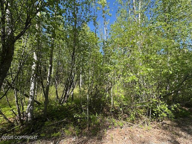 15377 W 7th St, Wasilla, AK 99654 - photo 1