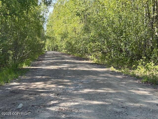 15377 W 7th St, Wasilla, AK 99654 - photo 2
