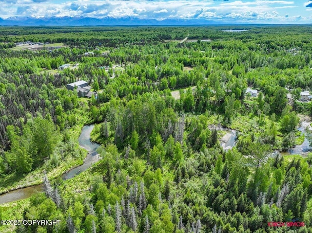 7202 W Flying Crown Dr, Wasilla, AK 99623 - photo 7