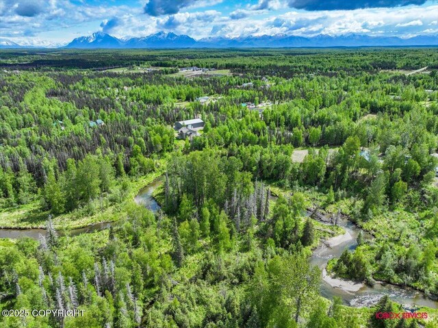 7202 W Flying Crown Dr, Wasilla, AK 99623 - photo 8