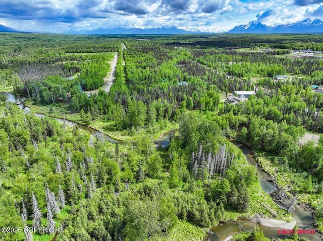 7202 W Flying Crown Dr, Wasilla, AK 99623 - photo 9