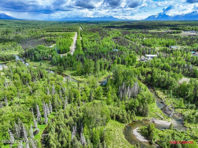 7202 W Flying Crown Dr, Wasilla, AK 99623 - photo 10