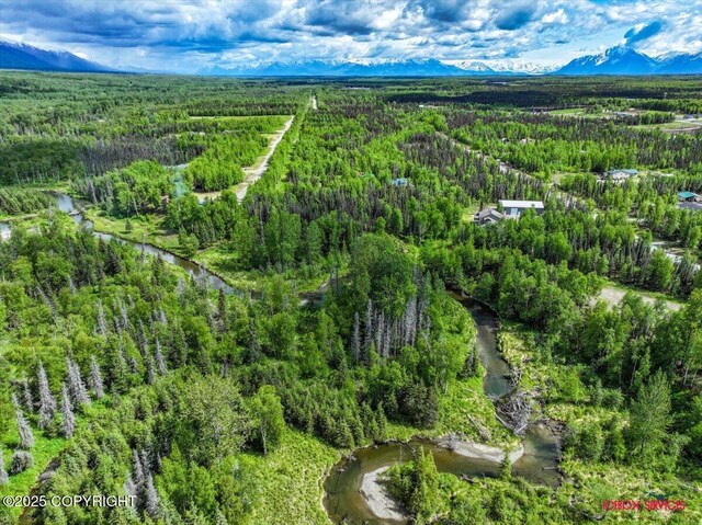 7202 W Flying Crown Dr, Wasilla, AK 99623 - photo 11