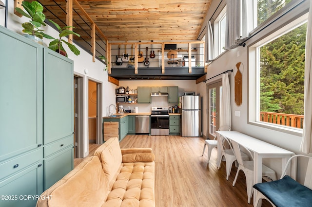 36339 Maria Rd, Homer, AK 99603 - kitchen featuring stainless steel appliances, green cabinets, wooden ceiling, a high ceiling, and light wood-style flooring