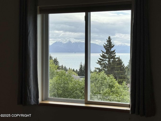 705 W Fairview Ave, Homer, AK 99603 - water view