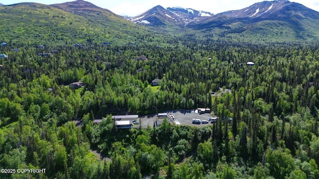 9291 Basher Dr, Anchorage, AK 99507