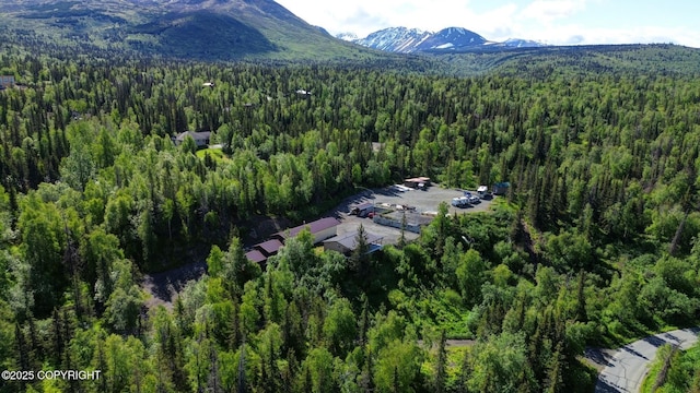 9291 Basher Dr, Anchorage, AK 99507