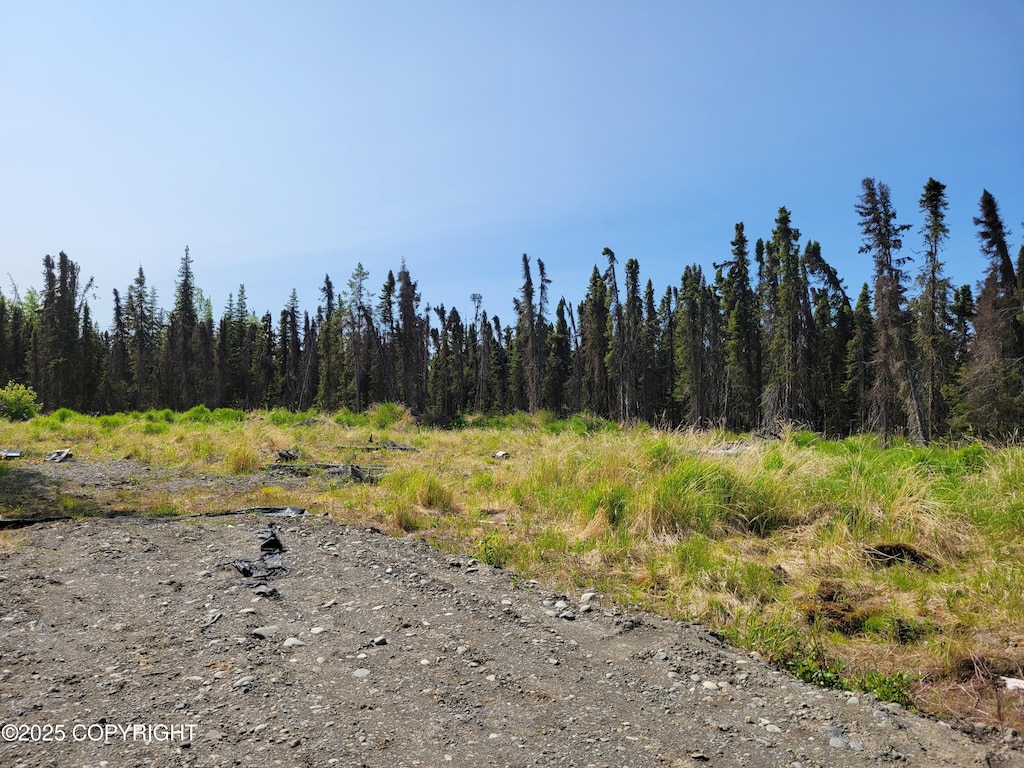 48927 Rustic Ave, Soldotna, AK 99669 - photo 1