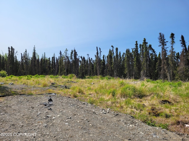 48927 Rustic Ave, Soldotna, AK 99669 - photo 1