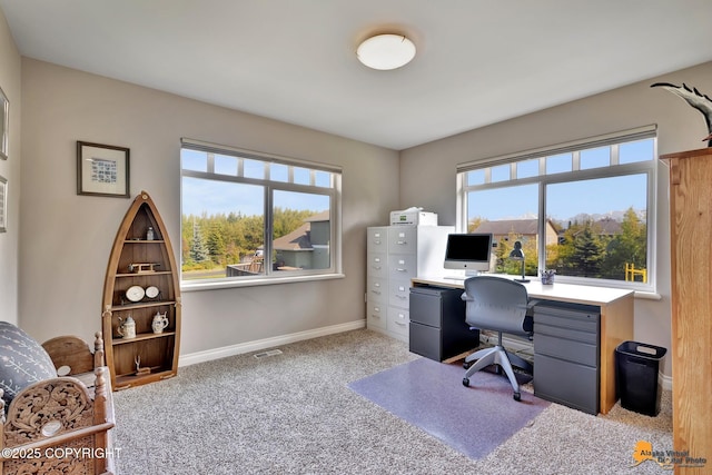 2842 Ensign Dr, Anchorage, AK 99515 - home office featuring healthy amount of natural light and carpet flooring