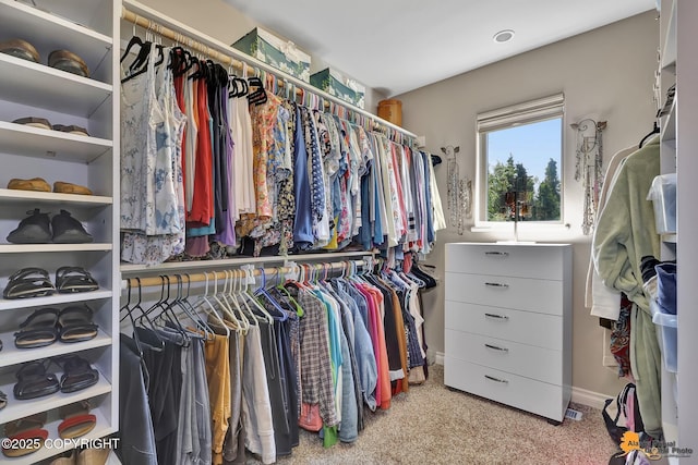 2842 Ensign Dr, Anchorage, AK 99515 - spacious closet with carpet floors