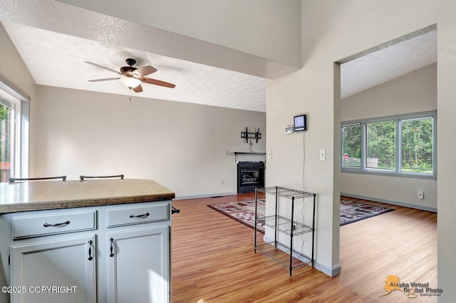 3091 N Longspur Dr, Wasilla, AK 99654 - kitchen with light wood-style flooring, healthy amount of natural light, ceiling fan, a fireplace, and lofted ceiling