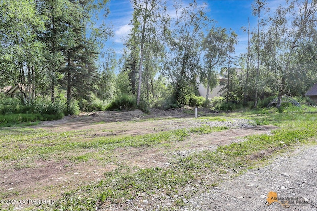 3091 N Longspur Dr, Wasilla, AK 99654 - view of yard