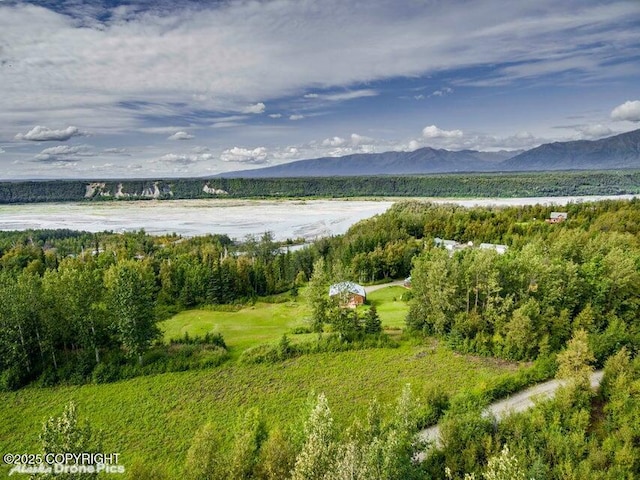 4600 N Slumber Dr, Palmer, AK 99645 - view of mountain backdrop