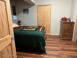 18905 Langille Rd, Cooper Landing, AK 99572 - bedroom featuring wood finished floors and a closet