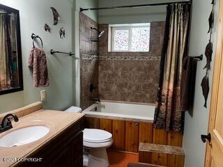 18905 Langille Rd, Cooper Landing, AK 99572 - full bath with vanity and shower / tub combo with curtain