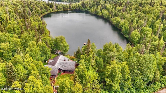 51137 Nanook Cir, Nikiski/North Kenai, AK 99611 - aerial view of a nearby body of water and a forest