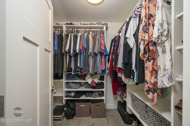 1169 W Trumpeter Swan Dr, Wasilla, AK 99623 - spacious closet with carpet