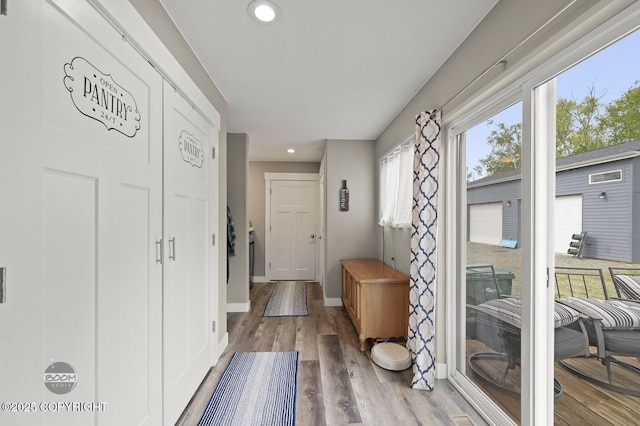 1169 W Trumpeter Swan Dr, Wasilla, AK 99623 - corridor featuring wood finished floors, recessed lighting, and baseboards