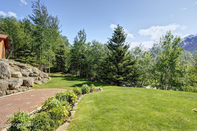 3108 Misty Mountain Rd, Eagle River, AK 99577 - view of grassy yard