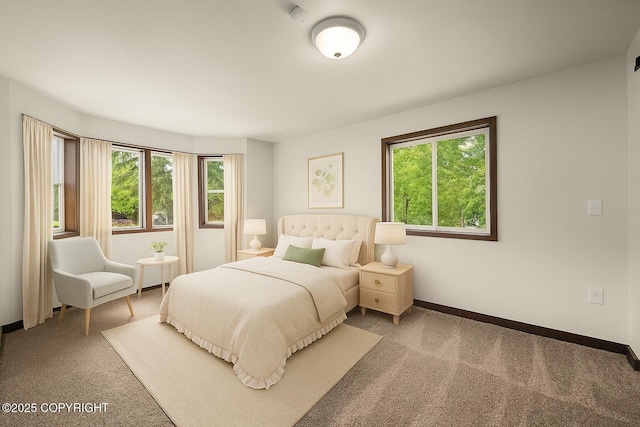 10010 Colville St, Eagle River, AK 99577 - carpeted bedroom with multiple windows