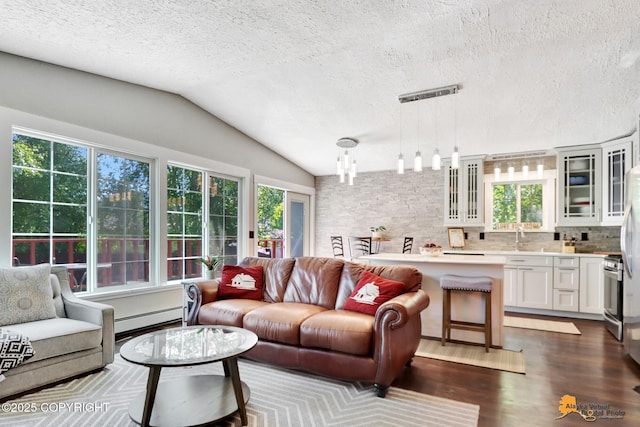 2309 Success Dr, Anchorage, AK 99504 - living room with plenty of natural light, dark wood-style flooring, a baseboard radiator, a textured ceiling, and vaulted ceiling