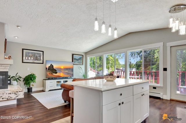 2309 Success Dr, Anchorage, AK 99504 - kitchen featuring a textured ceiling, dark wood-type flooring, baseboard heating, white cabinets, and lofted ceiling