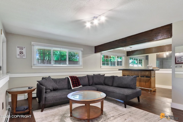 2309 Success Dr, Anchorage, AK 99504 - living area featuring a baseboard heating unit, wood finished floors, a textured ceiling, and rail lighting